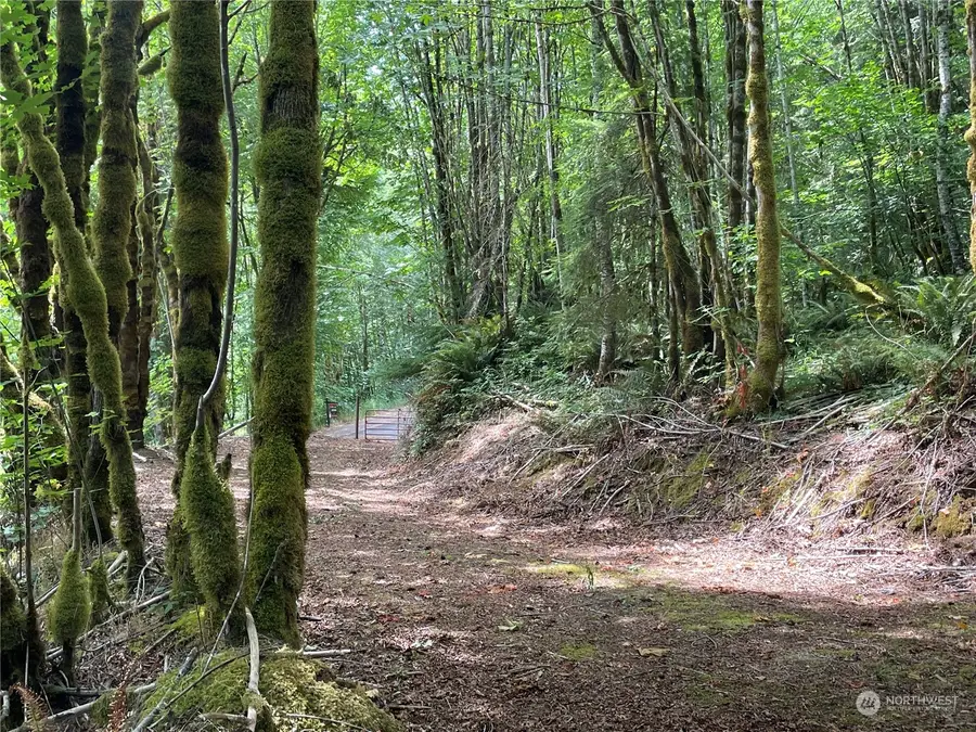 0 Rose Valley Road, Kelso, WA 98626 - Image #3