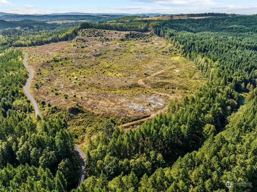 0 Salmon Creek Road, Toledo, WA 98591 - Image #2