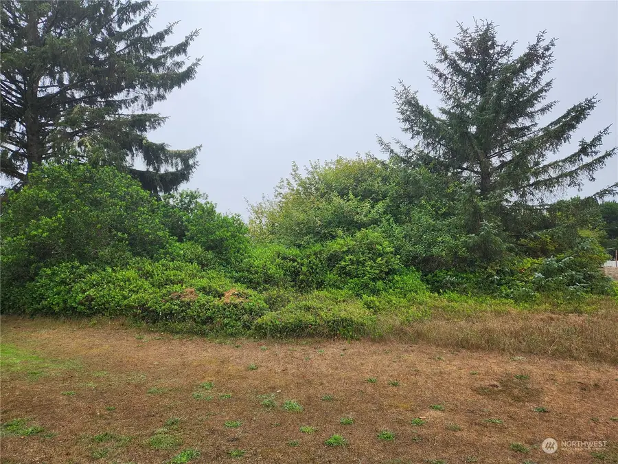 476 Canal Drive Ne #356, Ocean Shores, WA 98569 - #3