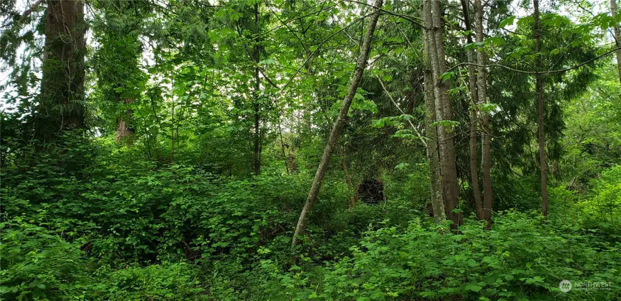 15800 62nd Avenue Nw, Gig Harbor, WA 98332 - Image #3