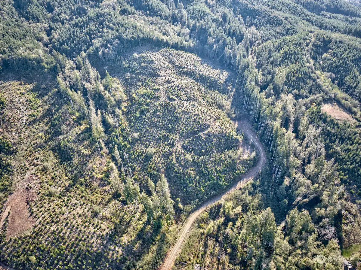 0 South Valley Rd, Naselle, WA 98638 - Image #1