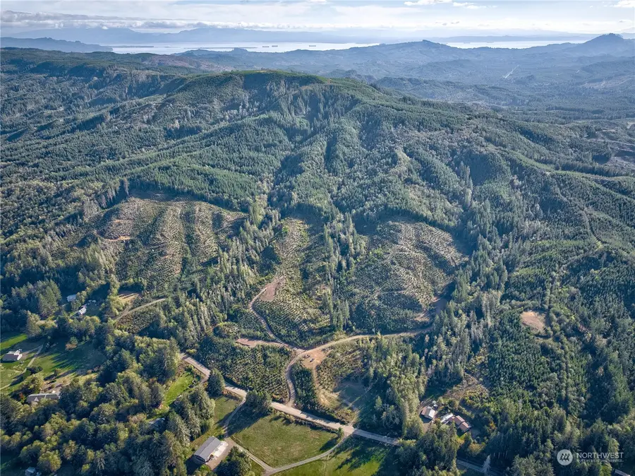 0 South Valley Rd, Naselle, WA 98638 - Image #3