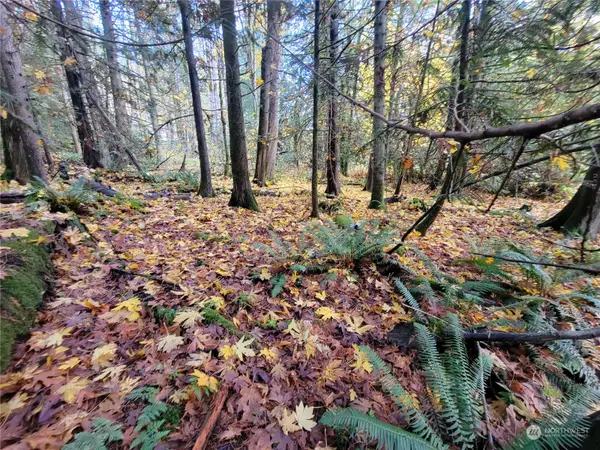 5376 Reese Hill Road, Sumas, WA 98295