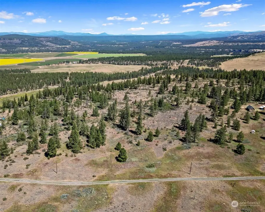 51200 E Whispering Pines Dr, Reardan, WA 99029 - #2