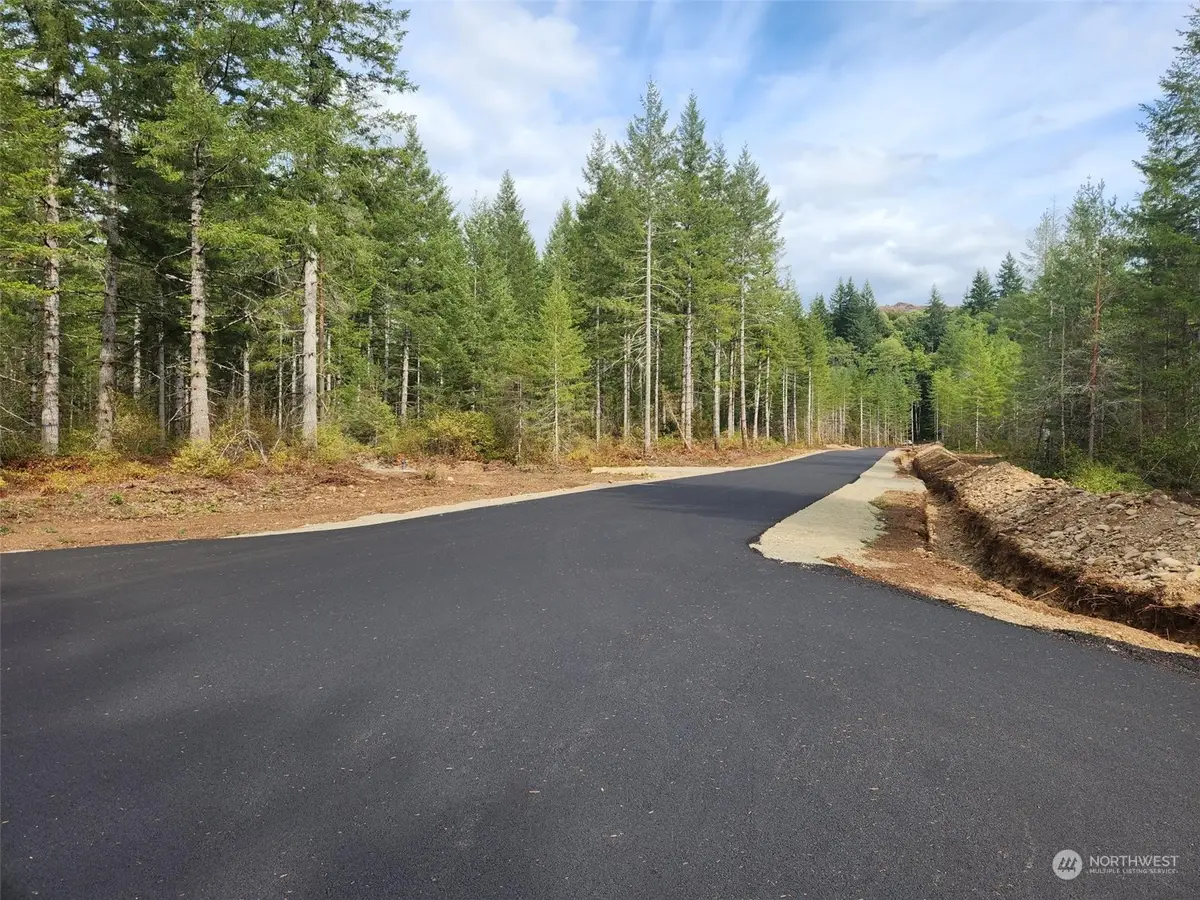 0 Lot 1 Div 1 Raven Lane, Elma, WA 98541 - Image #1