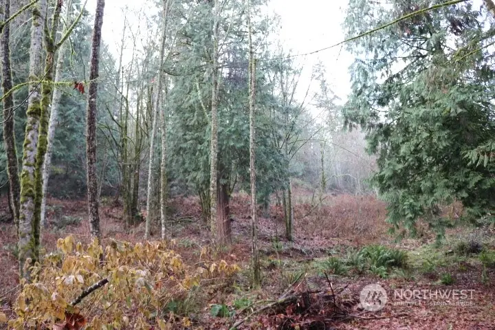 18700 SE 64th Way, Issaquah, WA 98027 - Image #3