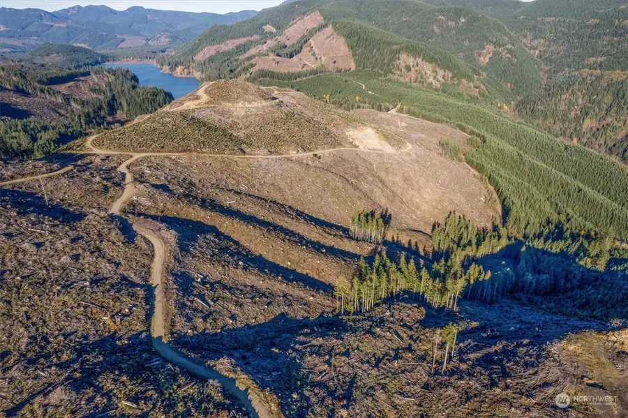 71 Usfs 8100, Cougar, WA 98616 - Image #3