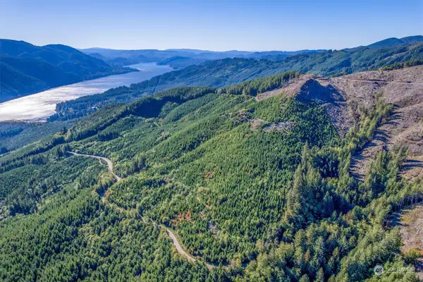 0 Usfs 81 Road, Cougar, WA 98616