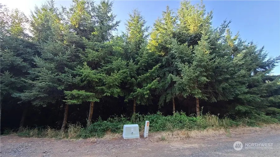 0 Grand Ridge Road #17, Toutle, WA 98649 - Image #2