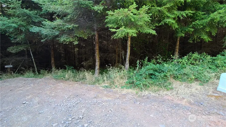 0 Grand Ridge Road #17, Toutle, WA 98649 - Image #3