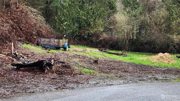 0 Olequa Ct #15 & 40, Vader, WA 98593