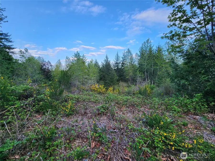 992 Sunrise Road, Brinnon, WA 98320 - Image #2