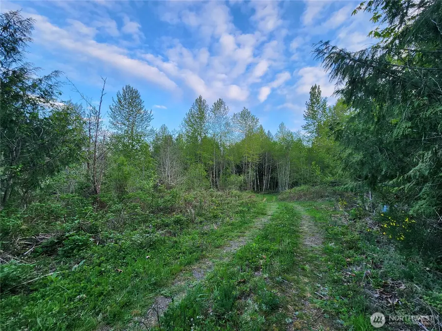 992 Sunrise Road, Brinnon, WA 98320 - Image #3