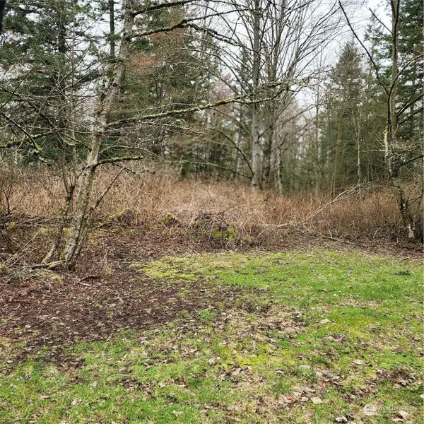 0 Valley View Lot 2 Road #2, Ferndale, WA 98248
