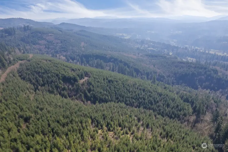 0 Cedar Mist Road, Amboy, WA 98601 - Image #2