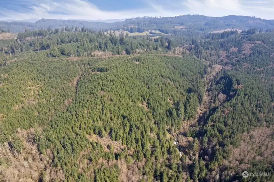 0 Cedar Mist Road, Amboy, WA 98601 - Image #3