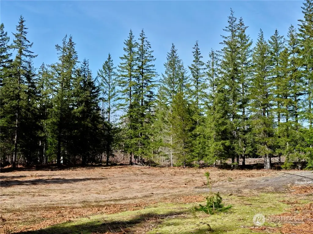 6 Loowit Lane, Cougar, WA 98616 - Image #1