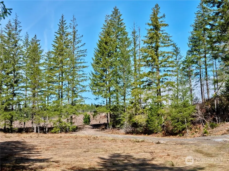 6 Loowit Lane, Cougar, WA 98616 - Image #3