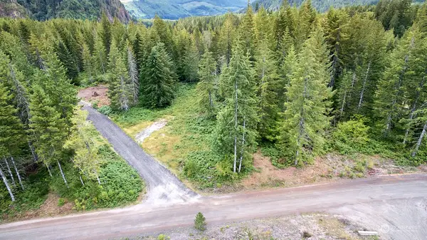 1 Lahar Lane #Ptn Lot 4, Cougar, WA 98616