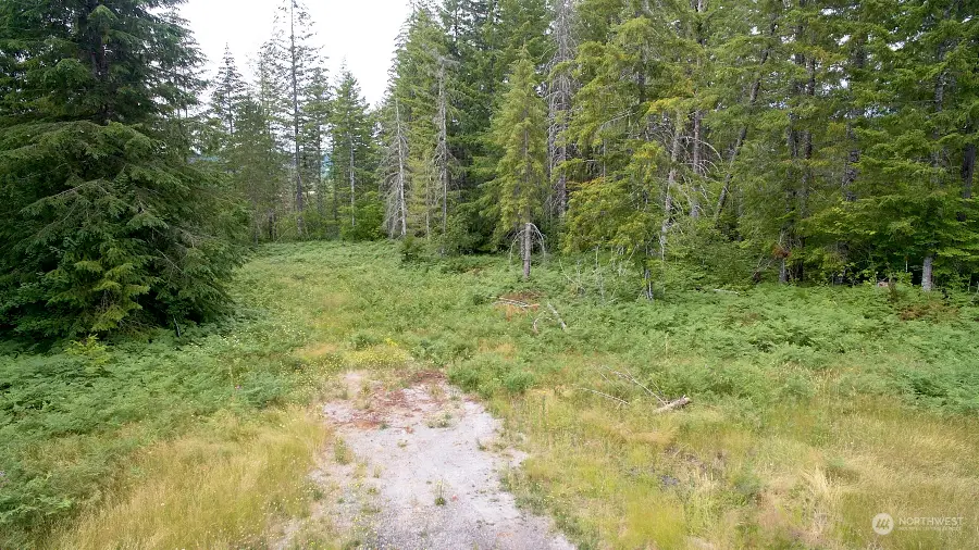 1 Lahar Lane #Ptn Lot 4, Cougar, WA 98616 - Image #2