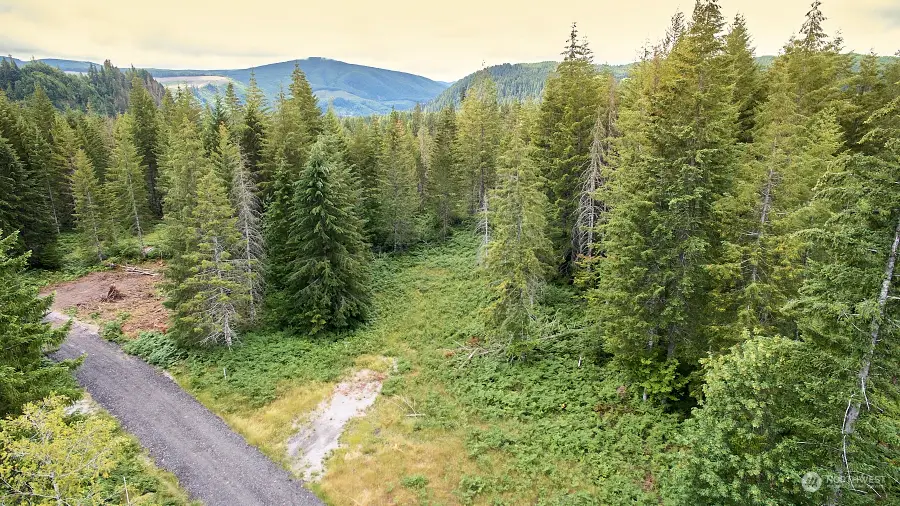 1 Lahar Lane #Ptn Lot 4, Cougar, WA 98616 - Image #3