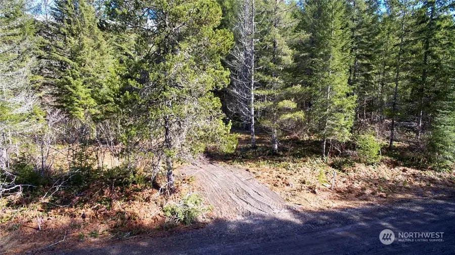 8 Lahar Lane, Cougar, WA 98616 - Image #2