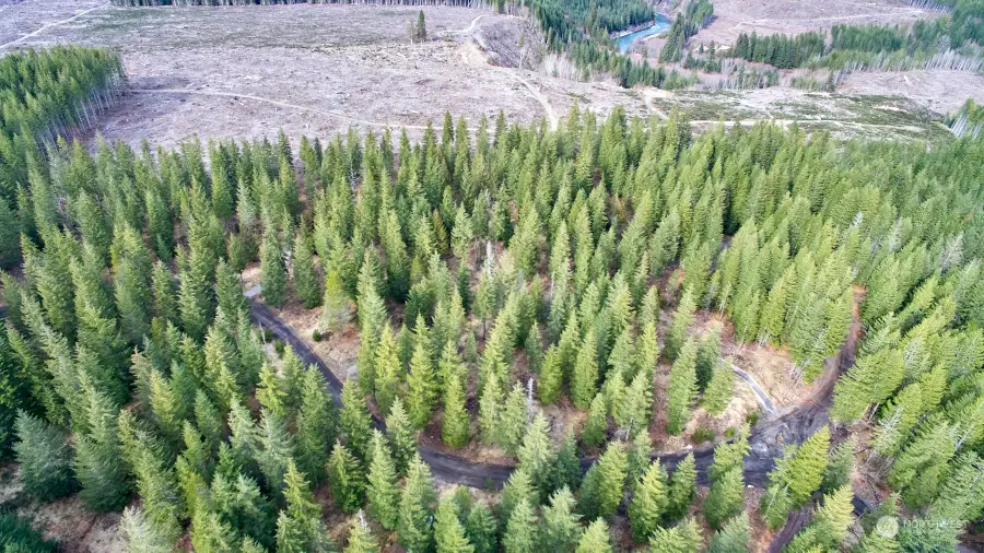 4 Loowit Lane #4, Cougar, WA 98616 - Image #2