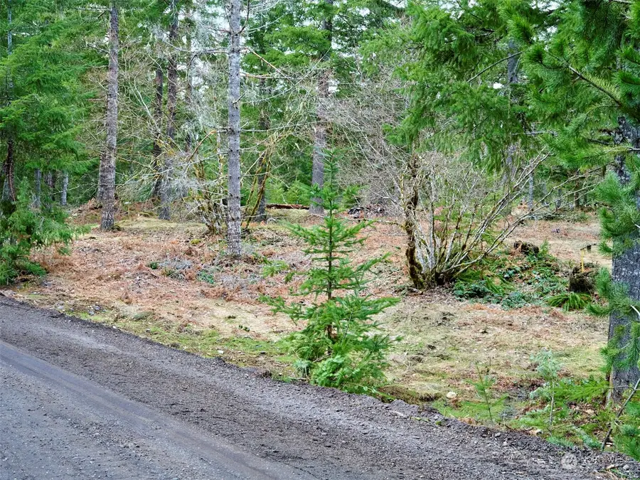 4 Loowit Lane #4, Cougar, WA 98616 - Image #3