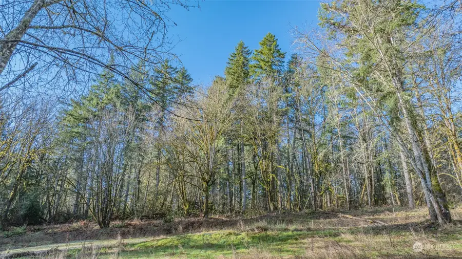 2725 137th Lane Sw, Tenino, WA 98589 - Image #3