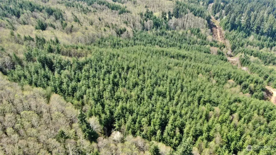 0 State Route 107, Montesano, WA 98563 - Image #2