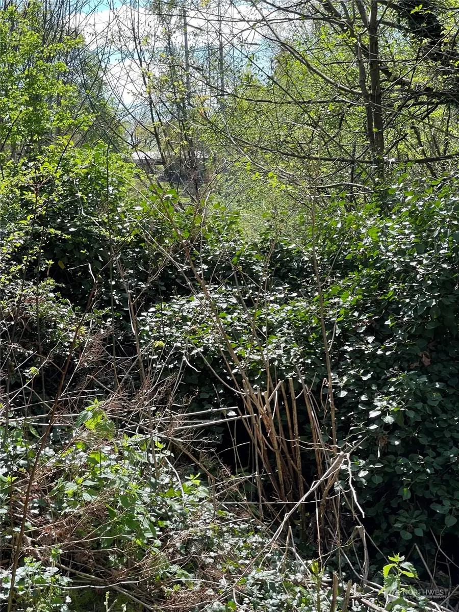 4700 S 109th Street, Tukwila, WA 98178 - Image #3