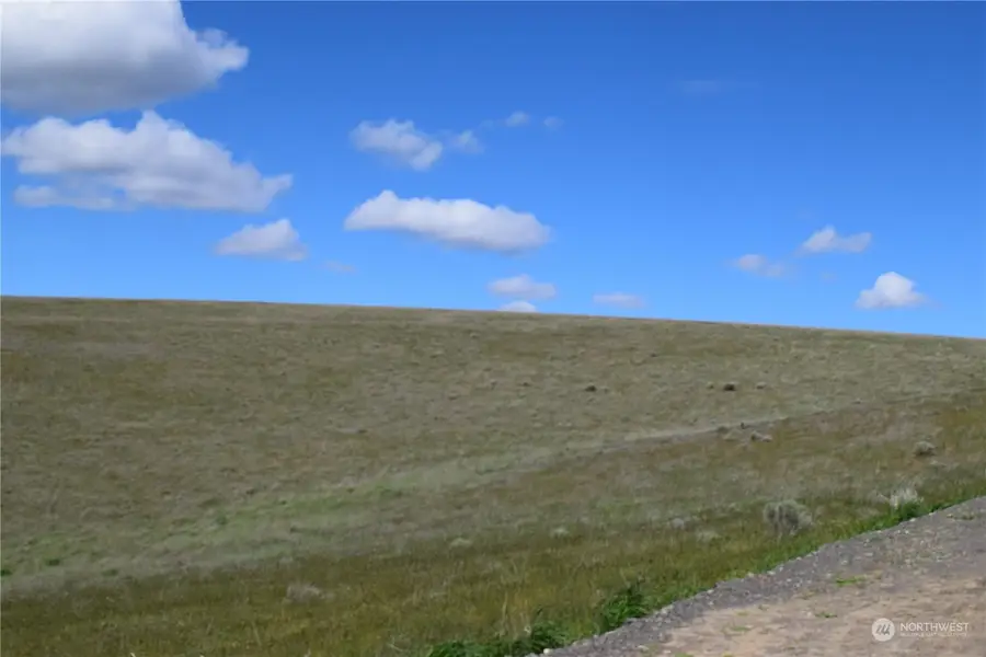 2367 Scott Station Road, Prescott, WA 99348 - Image #3