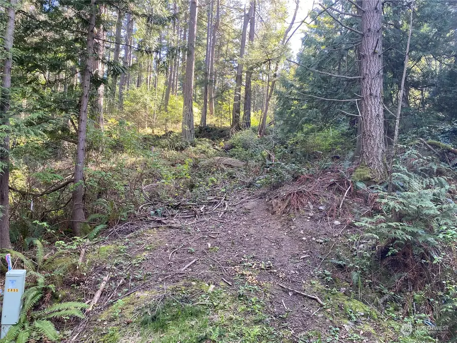 2861 Aiston Creek Rd #22 & 23, Lummi Island, WA 98262 - Image #3