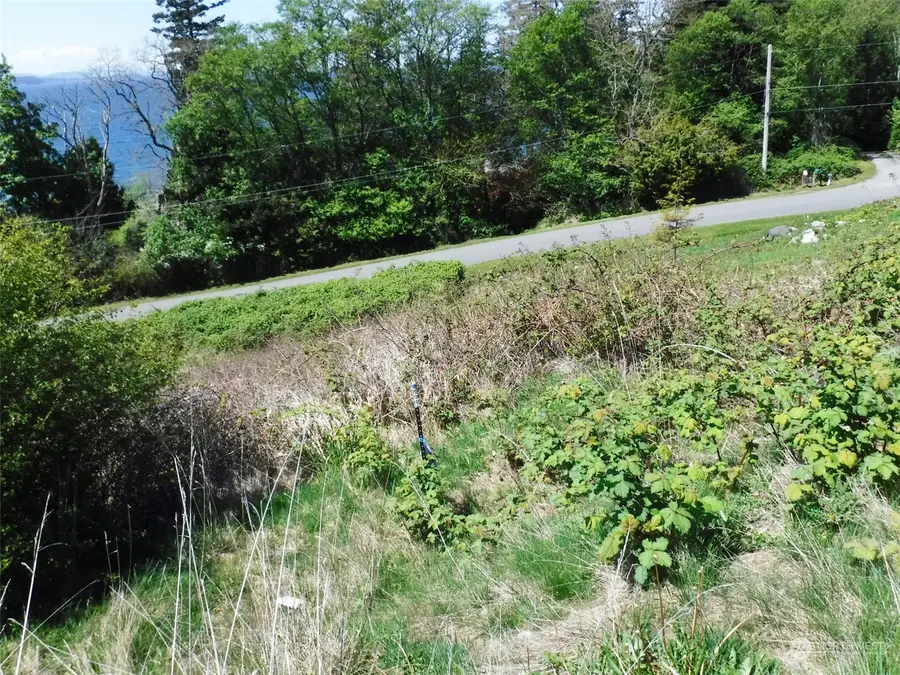0 Taft Drive #14, Lummi Island, WA 98262 - Image #2
