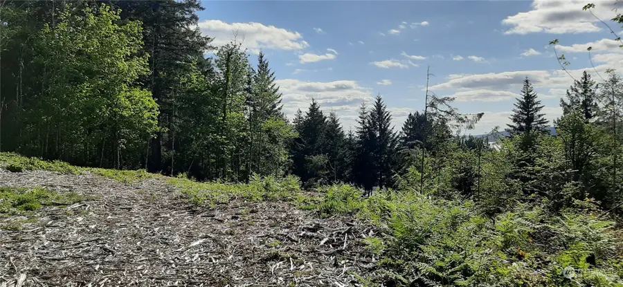 200 NE Wj Way #00940, Belfair, WA 98528 - Image #2