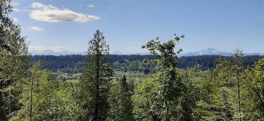 200 NE Wj Way #00940, Belfair, WA 98528 - Image #3