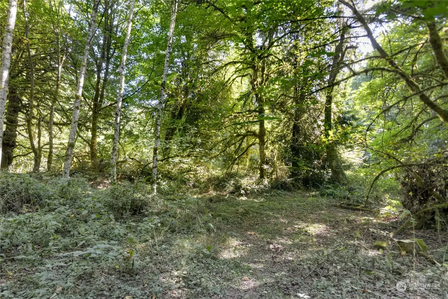 403 Bromley Lane Ne, Olympia, WA 98506 - Image #3