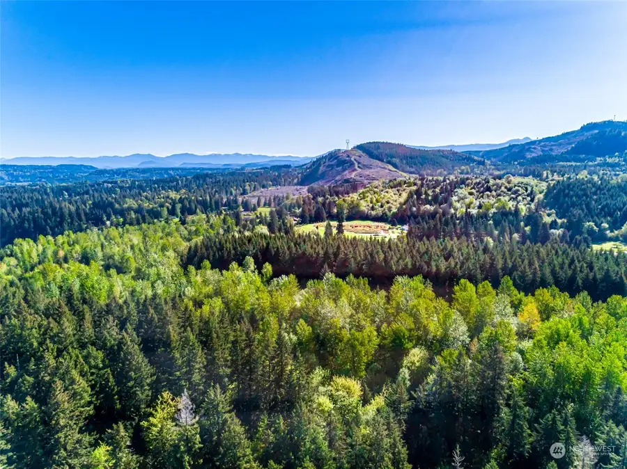 0 Orville Road E, Orting, WA 98360 - Image #3