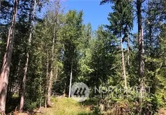 21900 70th Avenue E #16, Spanaway, WA 98387 - Image #1