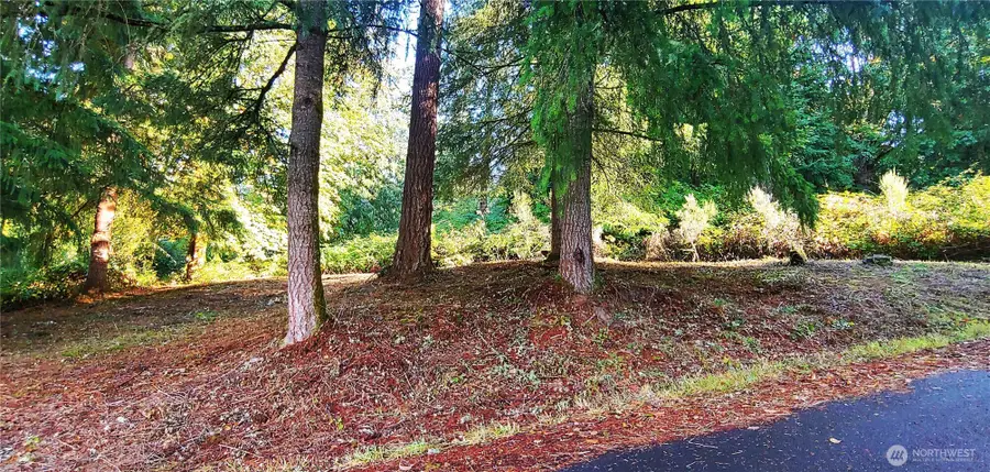 0 Feather Ridge Drive, Kalama, WA 98625 - Image #2