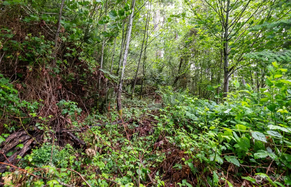 4 Sulphur Springs Lane #4, Bremerton, WA 98310 - Image #1