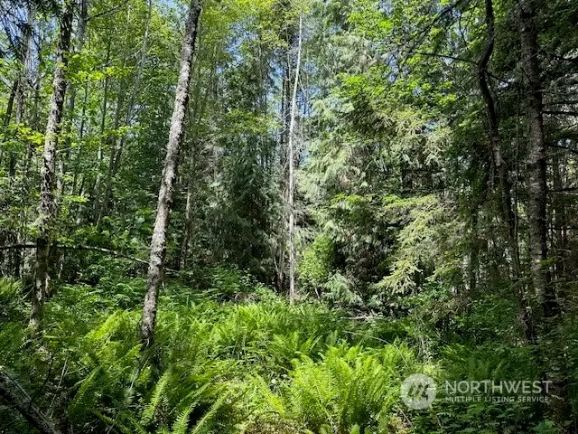 1 Sunny Dell Lane #1, Sequim, WA 98382 - Image #2