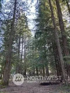 58610 Lumpy Lane E, Greenwater, WA 98022 - Image #2