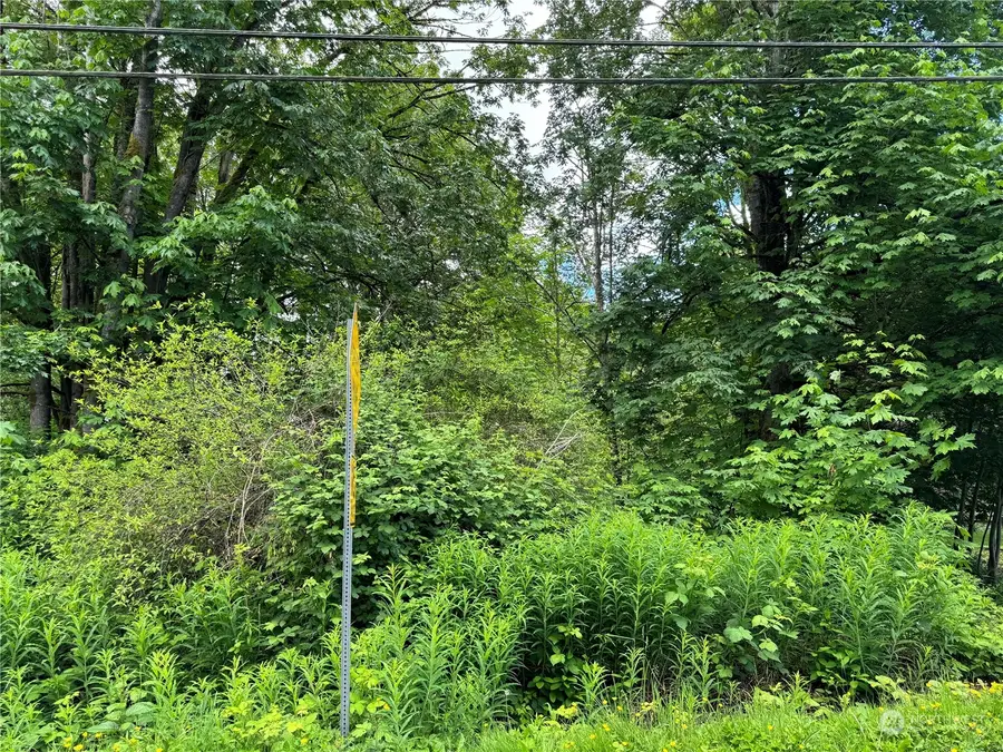 1410 169th Place Sw #3 & 4, Lynnwood, WA 98037 - Image #2