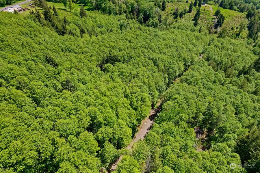 163 Owl Creek Lane #2, Morton, WA 98356 - Image #2