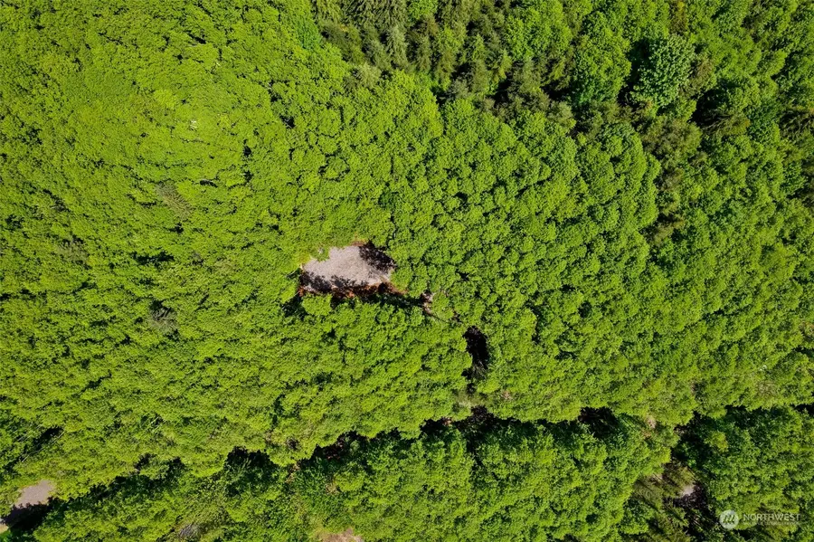 163 Owl Creek Lane #2, Morton, WA 98356 - Image #3