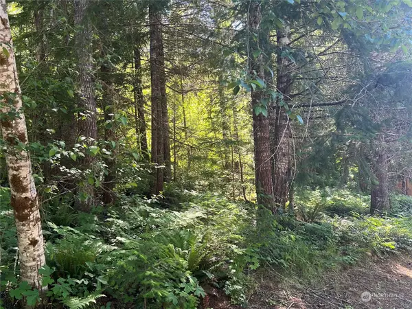 103 Ridge Lane, Packwood, WA 98361