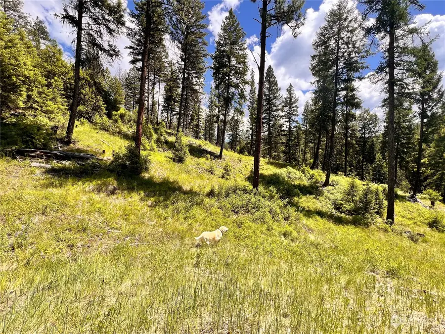 0 Old Kettle Falls Road, Republic, WA 99166 - Image #3