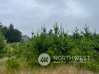 806 318th Place #9, 10 & 11, Ocean Park, WA 98640