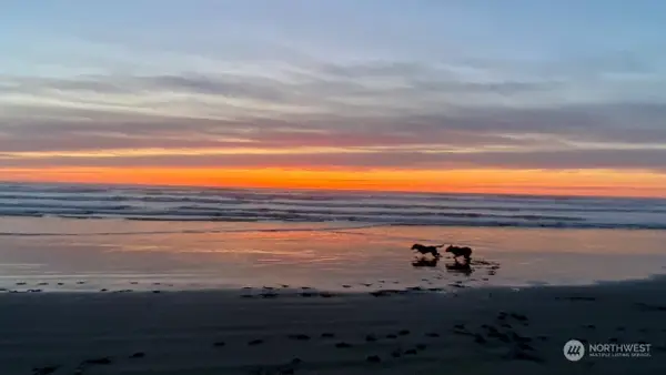 304 14th Street Nw #223, Long Beach, WA 98631